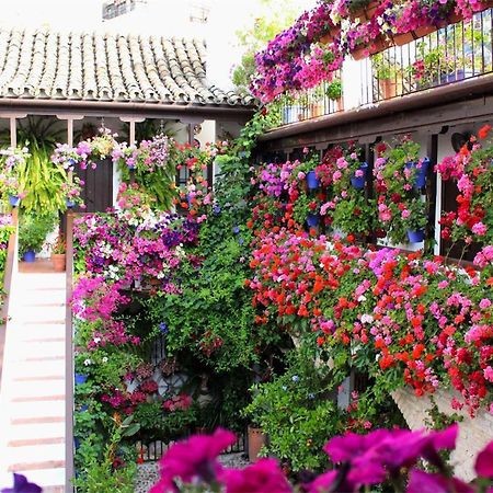 El Rincon De Orive Διαμέρισμα Κόρδοβα Εξωτερικό φωτογραφία
